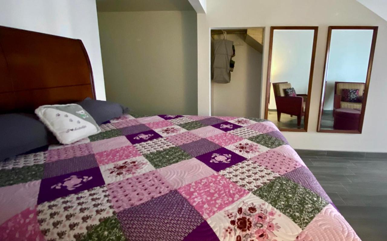 Kalanchoe Poshtel Suites Las Palmas  エクステリア 写真