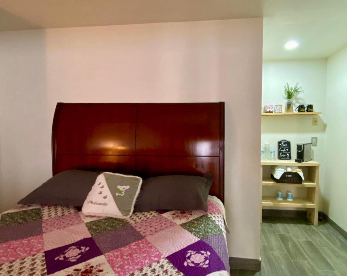 Kalanchoe Poshtel Suites Las Palmas  エクステリア 写真
