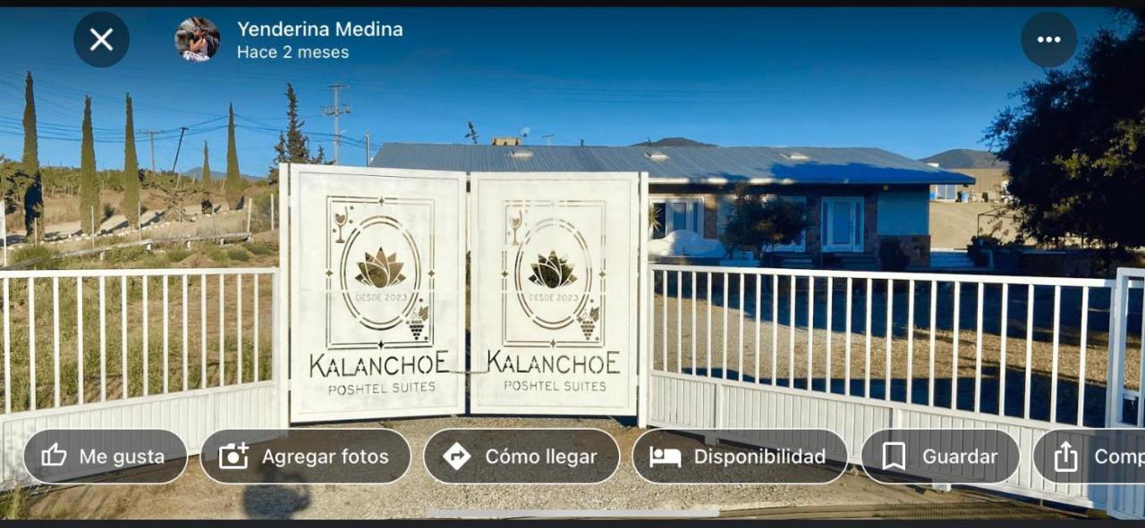 Kalanchoe Poshtel Suites Las Palmas  エクステリア 写真