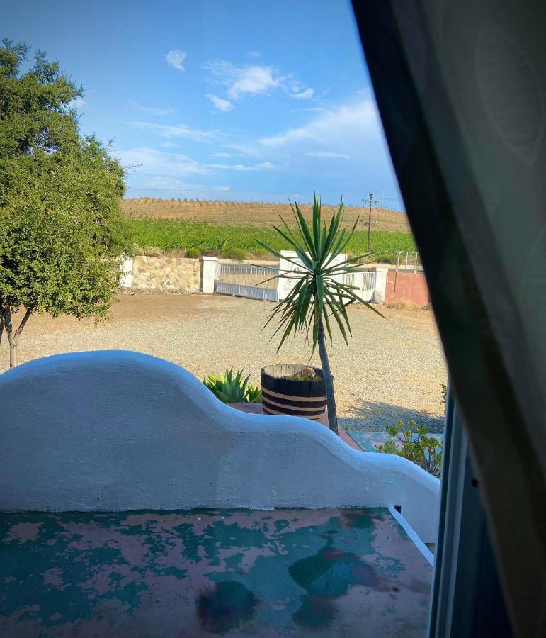 Kalanchoe Poshtel Suites Las Palmas  エクステリア 写真