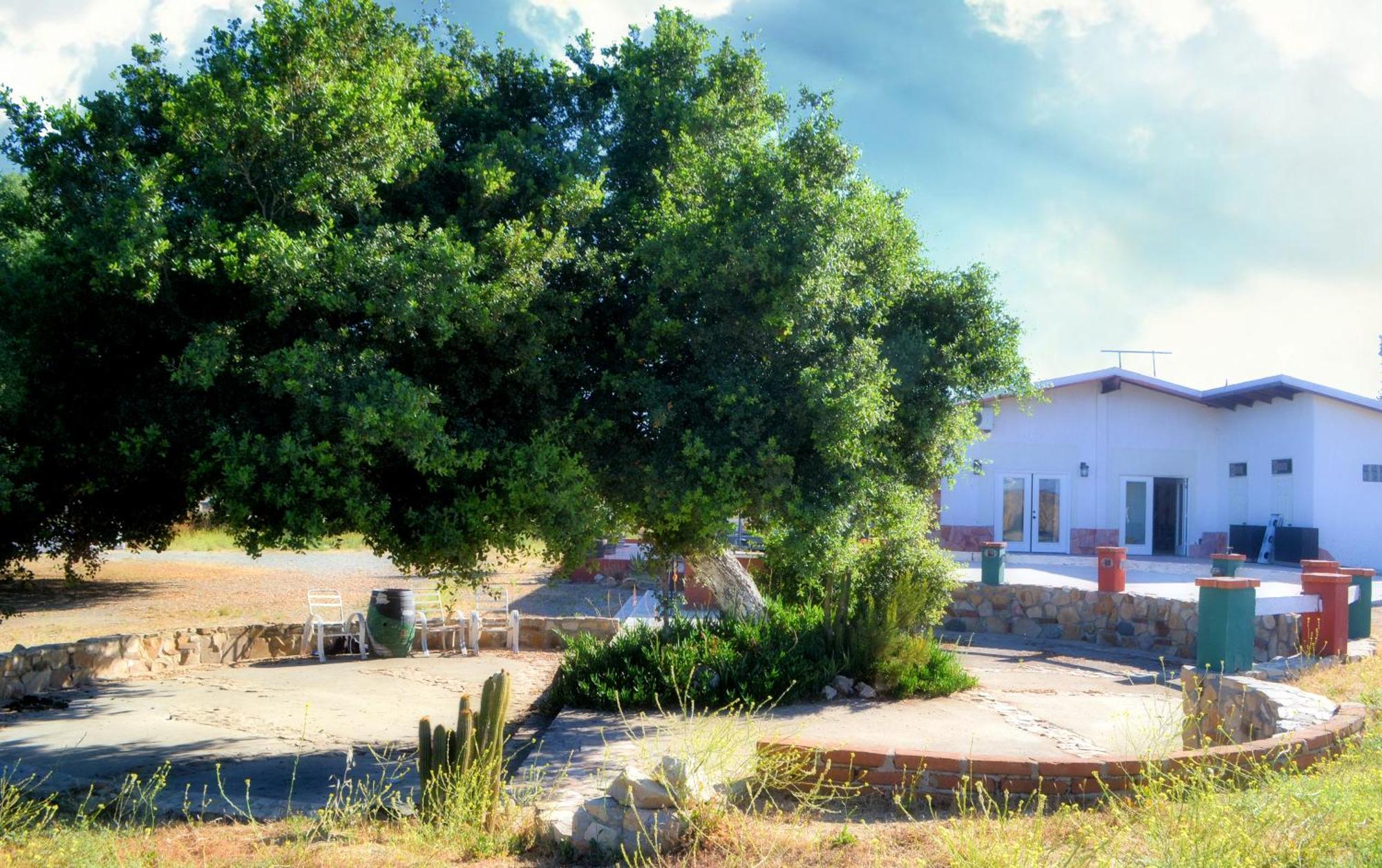 Kalanchoe Poshtel Suites Las Palmas  エクステリア 写真